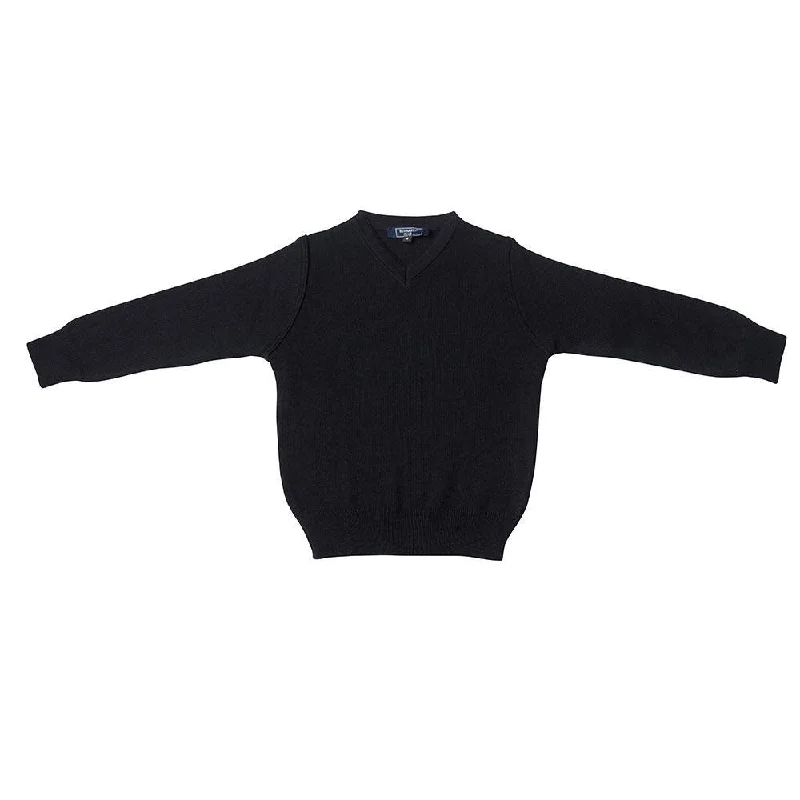 Women's Silk A-Line Pullovers-Navy V-Neck Sweater